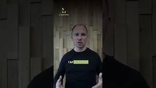 Плюсы и минусы жизни в Санкт-Петербурге