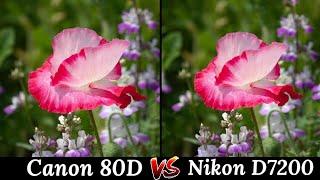 Canon EOS 80D VS Nikon D7200 DSLR Camera Comparison, DSLR Camera Review, Features, Overview