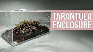 5 Best Tarantula Enclosure in 2023