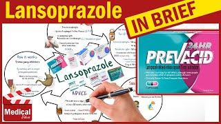 Lansoprazole ( Prevacid ): What is Lansoprazole Used For, Dosage, Side Effects & Precautions?