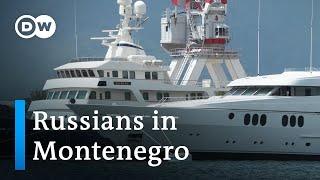 Russia's elite find refuge in Montenegro | Focus on Europe