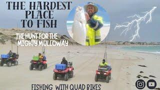 YALATA! The HARDEST beach to fish - The HUNT for the MIGHTY MULLOWAY - We're on Here Adventures