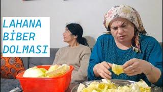 LAHANA BİBER KARIŞIK DOLMA