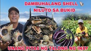 Dambuhalang Shell  Niluto sa Bukid Tanghalian..Finally Unang pitas ng Talong ng inay sa Garden