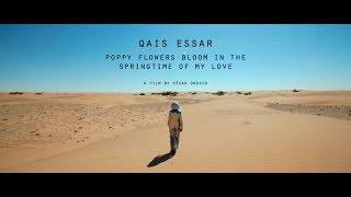 Qais Essar | Poppy Flowers Bloom in the Springtime of My Love