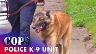 Police Dog Sniffs Out Hiding Suspect | Cops: Full Episodes