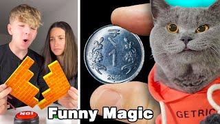 Oscar Shows You Some Funny Magic Tricks| Oscar‘s Funny World | Cute And Funny Cat