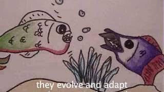 Lake animated