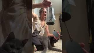 Sound Healing Chimes - Kitten Reaction