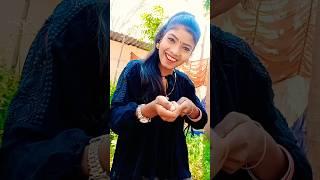Ashish Yadav ka song Punta Rina vlog