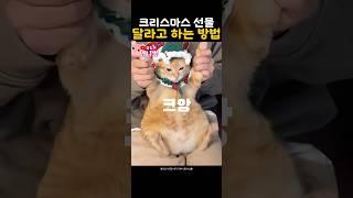 디자인전공이 음악을 지꺼린 영상..전문가가보면 겁나 비웃겠지만ㅋㅋ중독쩜#더빙 #노래 #고양이 #츄르 #언니뽕 #크리스마스송