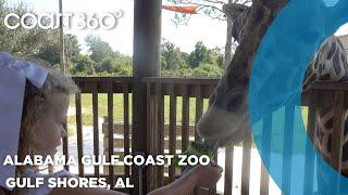 Alabama Gulf Coast Zoo