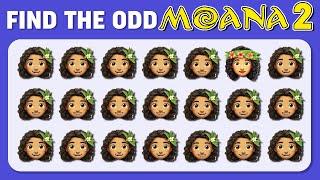  FIND THE ODD ONE OUT - Moana 2 Edition!  Koala Quiz