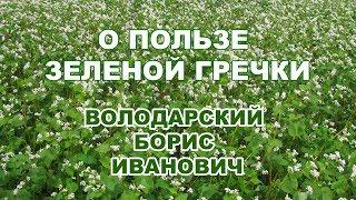 "О пользе зеленой гречки". Алтайский старец Борис Иванович Володарский