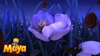 At night  - Maya the bee