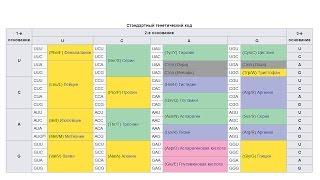 Основы нашей уверенности. О чём не знал Дарвин?