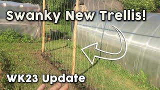 Lots of Planting Out, Brand New Trellis, Dance Festivals - Latvian Homestead Update