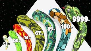 Snake Run Evolution - Level Up Snake Max Level Gameplay (New Update) Snake Evolution