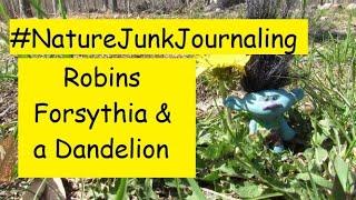 Come Journal with Me! #NatureJunkJournaling Robins & Forsythia (and a Dandelion)