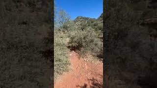 ON THE TRAIL!!! #hikingaddict #coconinonationalforest #belltrail13 #beavercreek #nature #freshair