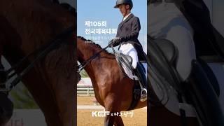 [경기하이라이트] 김혁선수_경상남도승마협회#마장마술#제105회#전국체육대회