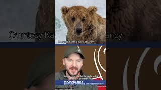 Where is Otis the bear?  #alaskasnewssource