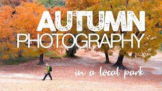 Autumn landscape photography in a local park, in Nagoya, Japan.