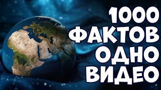1000 ИНТЕРЕСНЫХ ФАКТОВ В ОДНОМ ВИДЕО