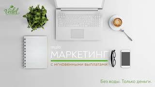 #Vedel Маркетинг-план компании #Ведель