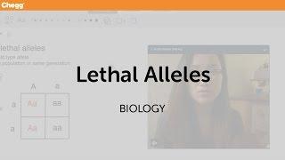 Lethal Alleles | Biology | Chegg Tutors