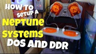 How To Setup a Neptune Systems DOS and DDR