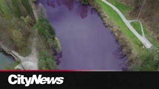 WATCH: German lake turns deep purple