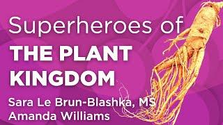 Superheroes of the Plant Kingdom | WholisticMatters Podcast | Medicinal Herbs