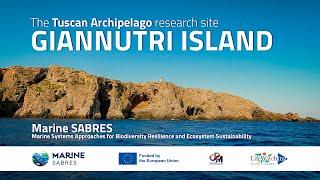 Tuscan archipelago: a focus on sustainable tourism and sea grass conservation