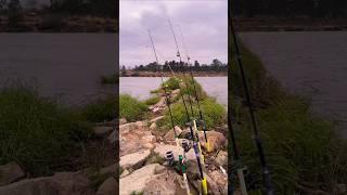 Amazing rod fishing setup!! rod fishing big catch, hook fishing  big catfish #fishing #fishinglife