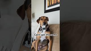 Make this go VIRAL  #funny