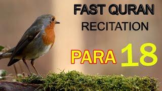 Quran Para 18 ; Fast Quran | Beautiful Recitation of Quran |Raheemi Tv