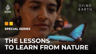 Nothing Grows Forever: The lessons to learn from nature | Dying Earth: E7 | Featured Documentary