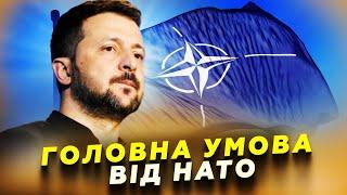 Українці ШОКОВАНІ! НАТО назвало головну УМОВУ вступу в АЛЬЯНС /  Що буде з КОРДОНОМ?!