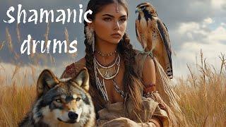 I dreamed of peace | Shamanic drumming | Spiritual tribal music | Acacia Meditations