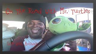 My Tiny RV Life: On The Road Again With The Turtles