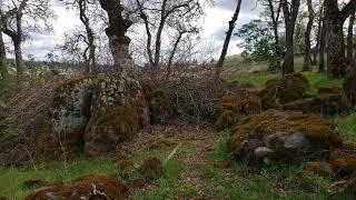 Rattlesnakes at Bass Lake in El Dorado Hills, CA