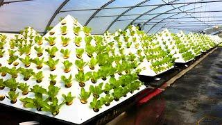 INCREDIBLE !! Pyramid Agriculture Technology 2023