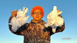 PTARMIGAN HUNTING IN ALASKA | FALL SEASON 2024