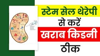 स्टेम सेल क्या होता है, क्या ये किडनी को ठीक करता है | Stem Cell Therapy | kidney treatment in hindi