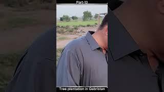 Village Qabristan Goes Green 