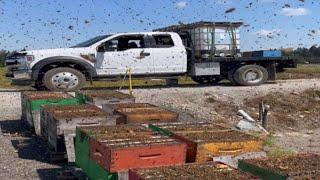 Beekeeping preparing your bees for winter