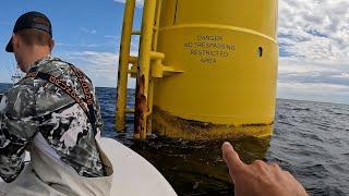 Virginia Beach Windmill Fishing (Cobia, Mahi, Seabass, Flounder)