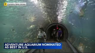 Camden, New Jersey's Adventure Aquarium among top in US