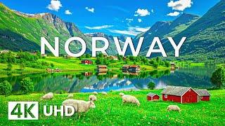 Wonders of Norway | Majestic Fjords, Mirror Lakes & Charming Nordic Villages in 4K